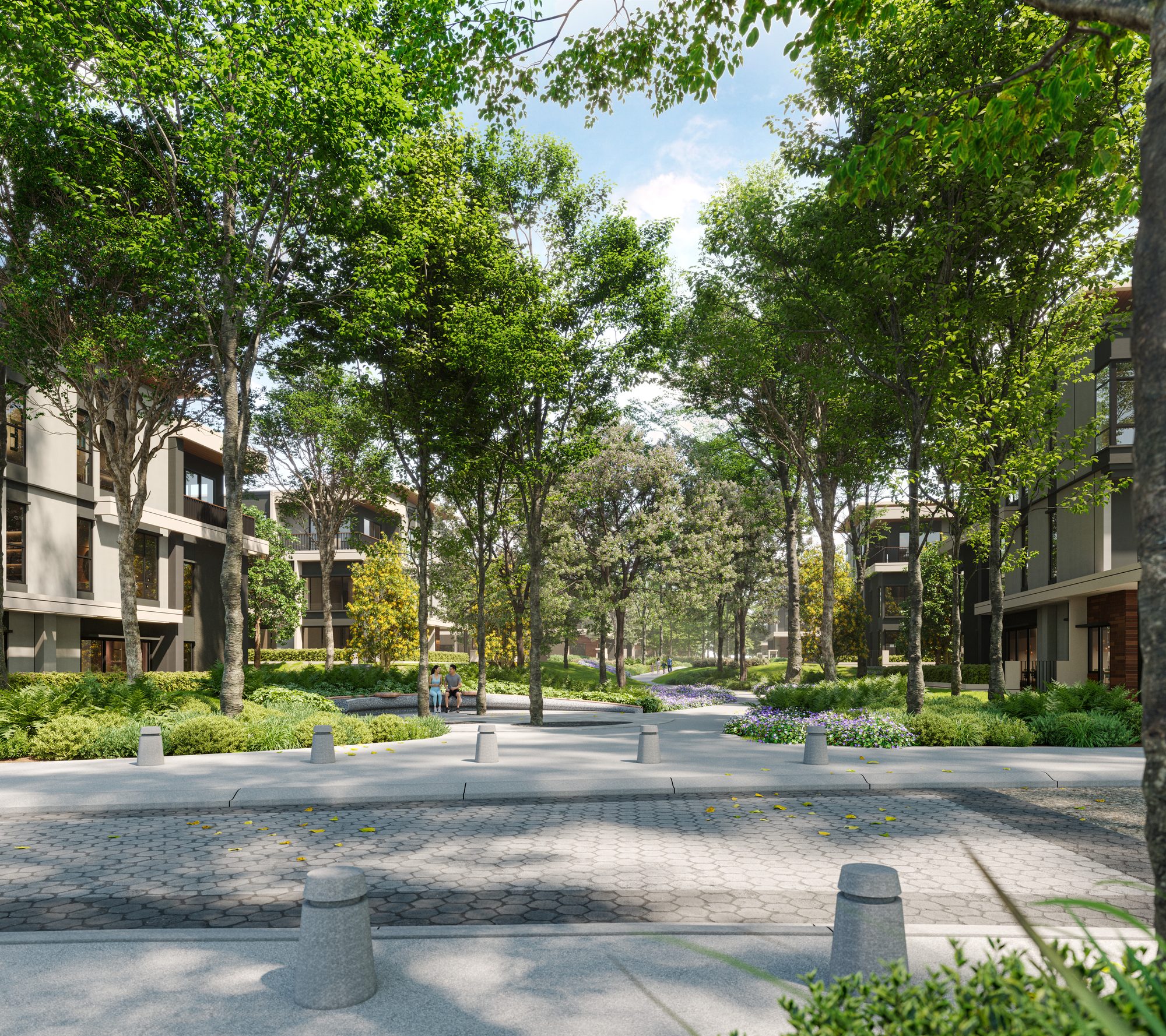 Tree-lined street within Zenia Parkhomes